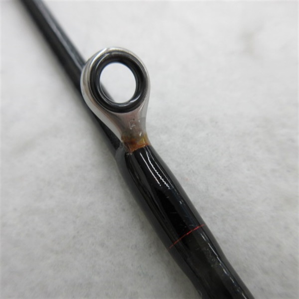 ２４アナリスターネライＭー２１０